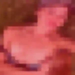 Veronique, 29 ans, veut un plan cul à Saint-Loubès