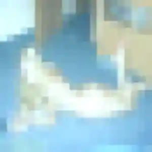 Eleonore, 28 ans, disponible à Saint-Louis pour un plan cul