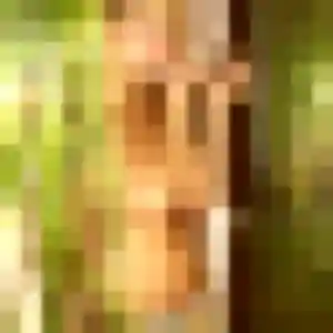 Phoebe, 41 ans, en ligne à Saint-Louis pour un plan cul