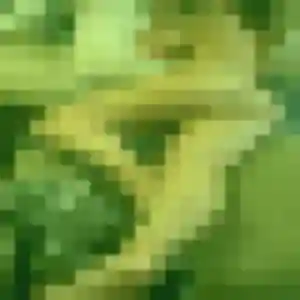 Marie-France (44 ans) à Saint-Lys cherche une rencontre aujourd'hui