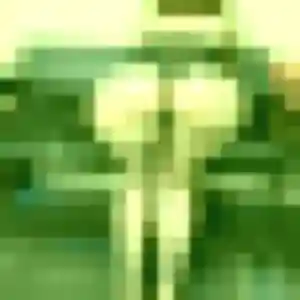 Chiara, 38 ans, disponible à Saint-Mandé pour une rencontre coquine