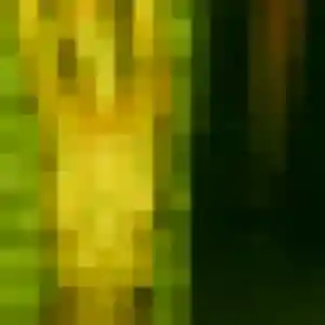 Photo exclusive de Coralie, 35 ans à Saint-Marcellin - rencontre sans lendemain