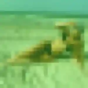 Valentine, 34 ans, dispo pour plan cul à Saint-Martin-d'Uriage