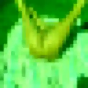 Inaya de Saint-Martin-de-Seignanx, 25 ans - plan cul en toute liberté