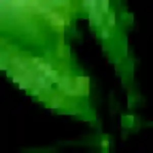 Photo exclusive de Vanessa, 42 ans à Saint-Martin-la-Pallu - rencontre coquine