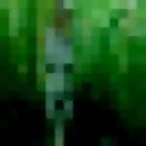 Gaia, femme de 26 ans propose plan cul à Saint-Maurice-l'Exil