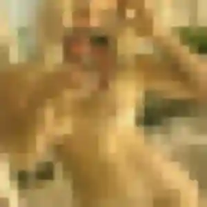 Jacqueline, 38 ans, cherche un plan cul à Saint-Nazaire