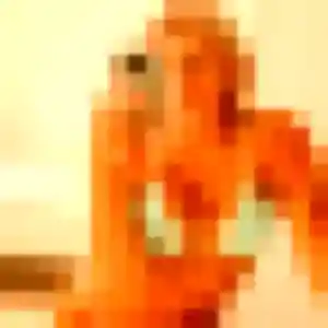 Photo de Charlotte à Saint-Paul-Trois-Châteaux (40 ans) - plan cul discret