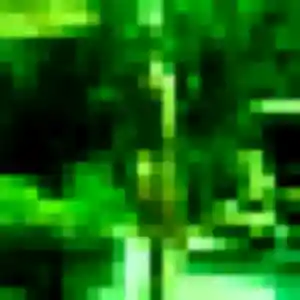 Découvre Sofia, 33 ans à Saint-Paul-Trois-Châteaux gratuitement