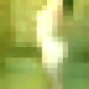 Rejoins Ximena, 23 ans à Saint-Paul-Trois-Châteaux en t'inscrivant