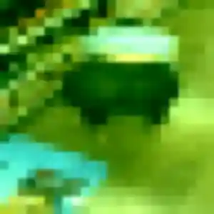 Solene, femme de 20 ans propose plan cul à Saint-Philbert-de-Grand-Lieu