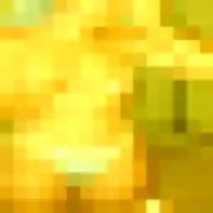 Photo perso de Charlotte, 33 ans à Saint-Pierre-d'Oléron - rencontre sans lendemain