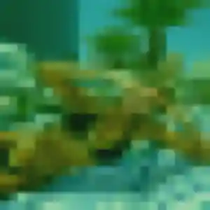 Elise de Saint-Pierre-des-Corps, 28 ans - plan cul sans prise de tête