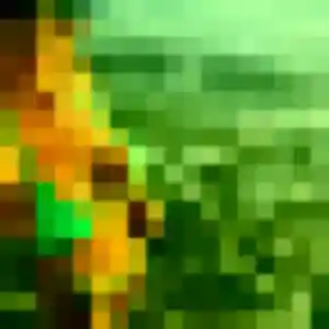 Charline (28 ans) à Saint-Pierre-lès-Elbeuf propose une rencontre rapidement