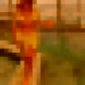 Alexandra de Saint-Priest, 38 ans - plan cul sans prise de tête