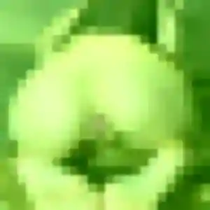 Charmante Clemence, 19 ans à Saint-Quentin - découvrir son profil