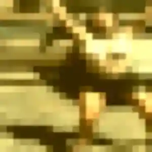 Blanche, 36 ans, disponible à Saint-Renan pour une rencontre coquine