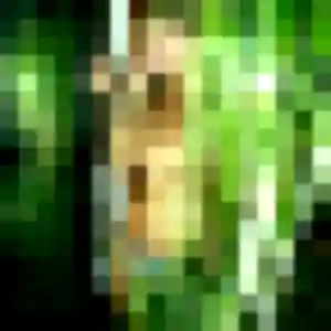 Alix, fille de 31 ans cherche plan cul à Saint-Sébastien-sur-Loire