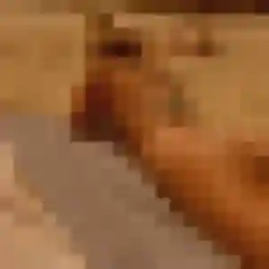 Photo exclusive de Clemence, 26 ans à Saint-Sulpice-la-Pointe - rencontre sans lendemain