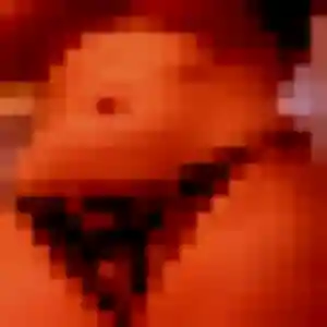 Gwendoline, 33 ans, dispo pour plan cul à Saint-Vincent-de-Tyrosse