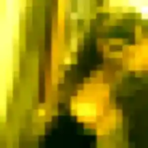 plan cul à Saint-Xandre : photo de Pascale, 22 ans - inscription gratuite