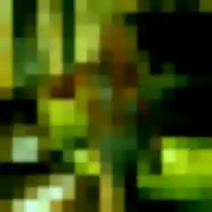 Whitney, femme de 30 ans cherche plan cul à Saint-Xandre