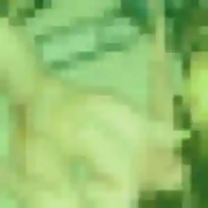 Maeva, fille de 30 ans veut plan cul à Saint-Zacharie