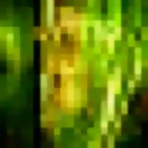 Photo sexy de Agnes, 43 ans à Sainte-Adresse - rencontre coquine