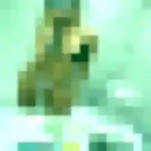 Clara, femme de 29 ans propose plan cul à Sainte-Geneviève-des-Bois