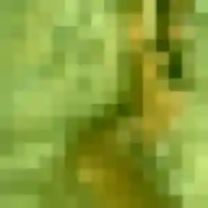 Photo de Harmony à Sainte-Marie-aux-Mines (40 ans) - plan cul anonyme