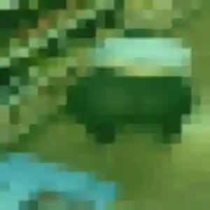 Profil de Helene à Saintry-sur-Seine (28 ans) - plan cul gratuit