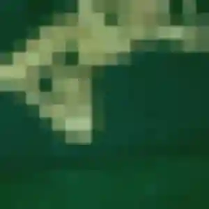 Profil de Viviane à Sarzeau (31 ans) - plan cul gratuit