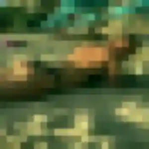 Maya (39 ans) à Sathonay-Camp cherche un plan cul ce soir