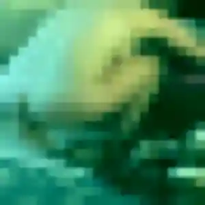 Lucienne (20 ans) à Sausset-les-Pins cherche un plan cul maintenant