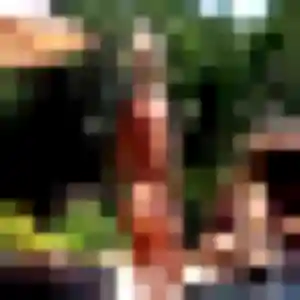 Photo exclusive de Yasmine, 33 ans à Sausset-les-Pins - rencontre coquine