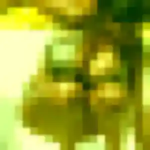 Charline (43 ans) à Sceaux cherche une rencontre maintenant