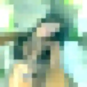 Photo sexy de Albane, 25 ans à Schœlcher - rencontre sans lendemain