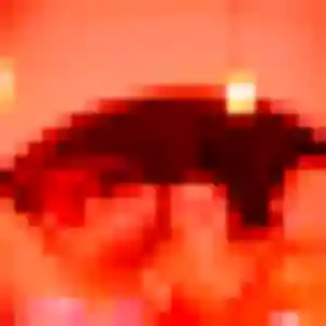 Faustine, femme de 21 ans veut plan cul à Schweighouse-sur-Moder