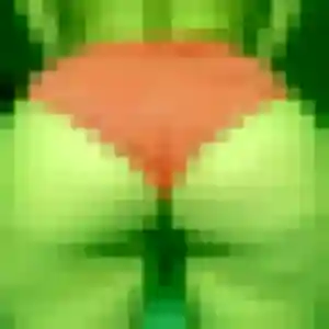 Romane, femme de 43 ans cherche plan cul à Septèmes-les-Vallons