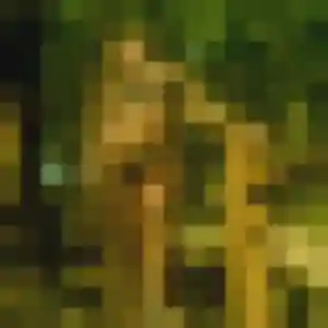 Photo privée de Amira, 40 ans à Sète - rencontre coquine