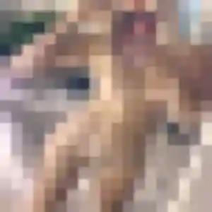 Amel de Sèvremoine, 25 ans - plan cul en toute liberté