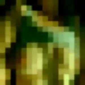 Wanda, 29 ans, cherche un plan cul à Sèvres