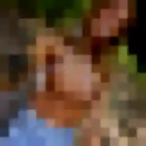 Samira, 42 ans, veut un plan cul à Sisteron