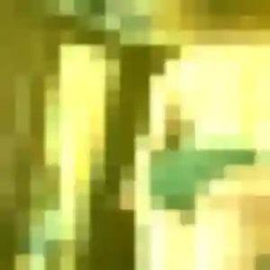 plan cul à Solliès-Pont : profil de Gisele, 20 ans - sans engagement