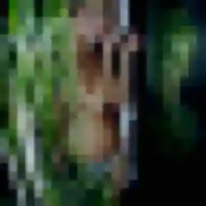 Profil de Henriette à Sorbiers (19 ans) - plan cul sans inscription