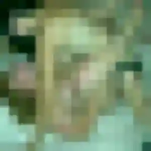 Charmante Coralie, 33 ans à Sotteville-lès-Rouen - la contacter