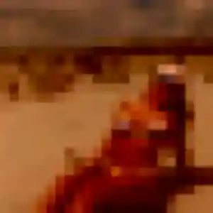 Ursula, 36 ans, cherche un plan cul à Sotteville-lès-Rouen