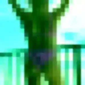 Contacte Camille, 40 ans à Soustons en t'inscrivant