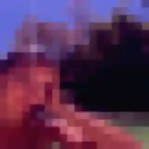 Roxane, 37 ans, veut un plan cul à Soustons