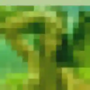 Photo de Nicole à Sucé-sur-Erdre (42 ans) - plan cul discret